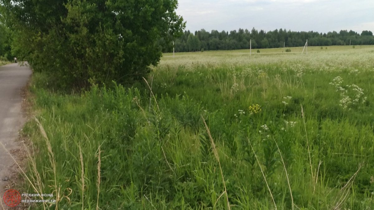 Купить Участок В Лопухинке Ломоносовского