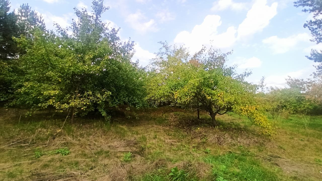 Погода массив славянка кировский. Славянка (Кировский район). СНТ Славянка Кировский район. Садовник массив Славянка.