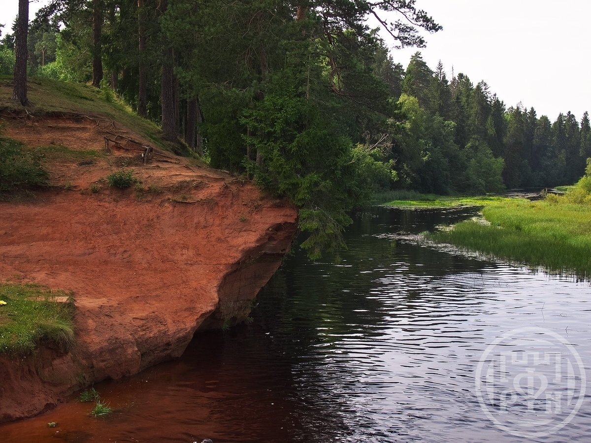 Купить Дом В Даймище Гатчинский Район