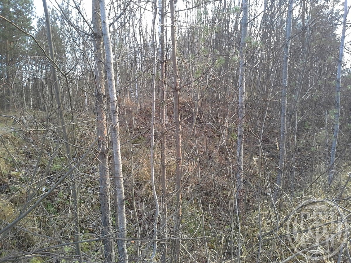 Купить Участок В Ленинградской Области Всеволожский Район