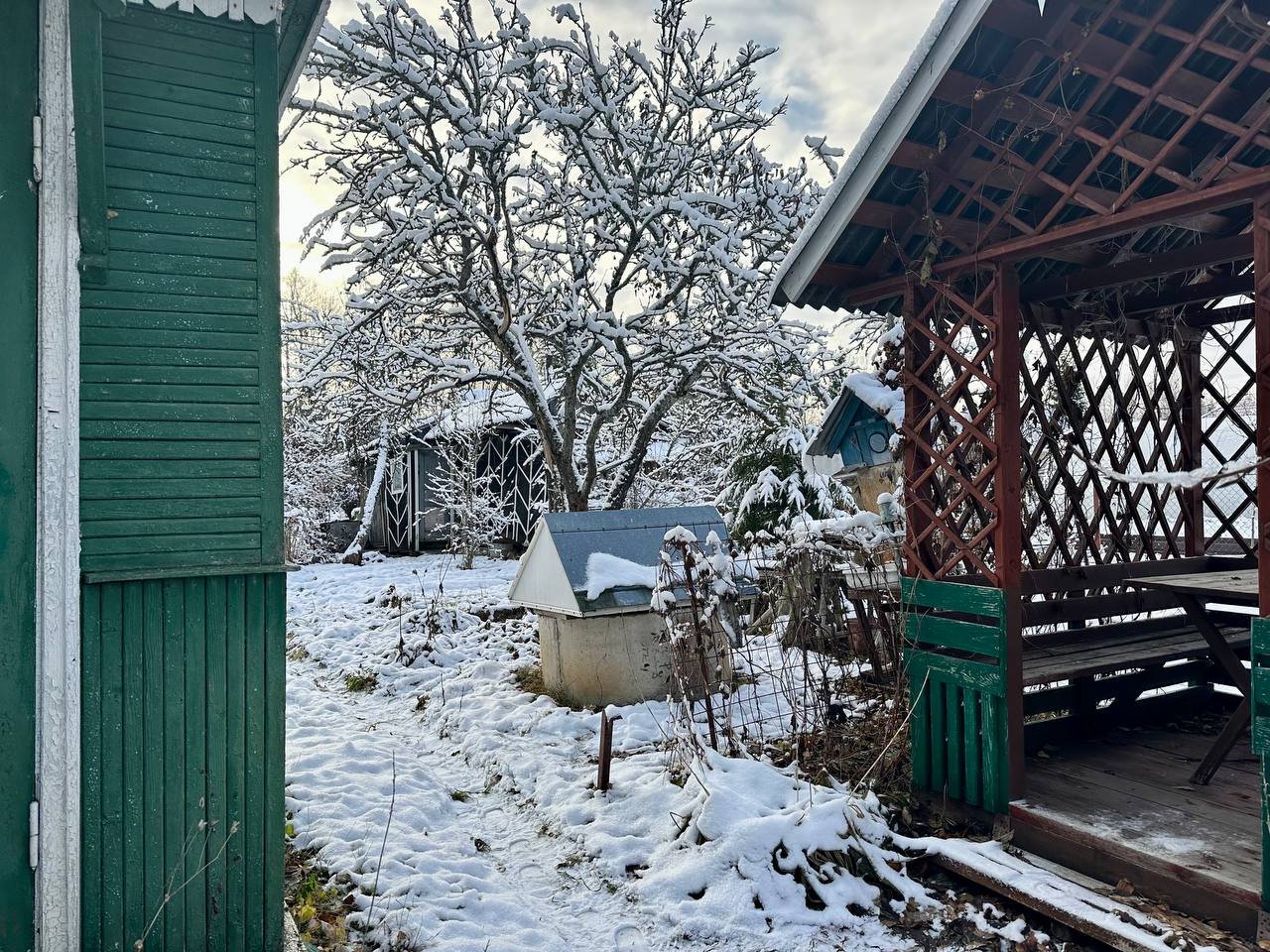 Купить Загородный дом 24 кв.м с участком 6 сот. в Лужский район  Ленинградская область (№326365)