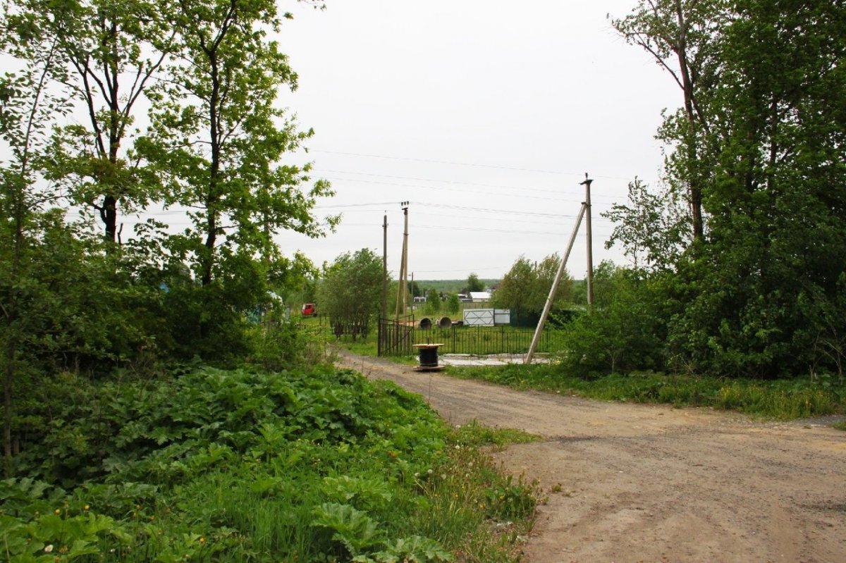 Деревня Кипень Ропшинское шоссе