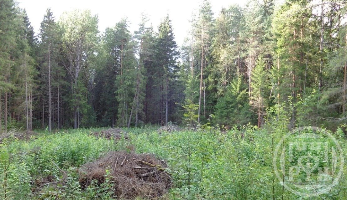 Купить Участок Выборгском Районе Лен Обл