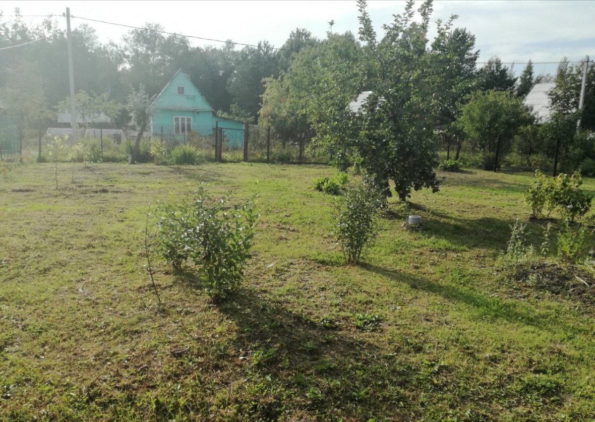 Погода в кобралово. Кобралово (посёлок). Кобралово (деревня). Ленинградская обл, Гатчинский р-н, поселок Кобралово, ул Лесная, д 3.