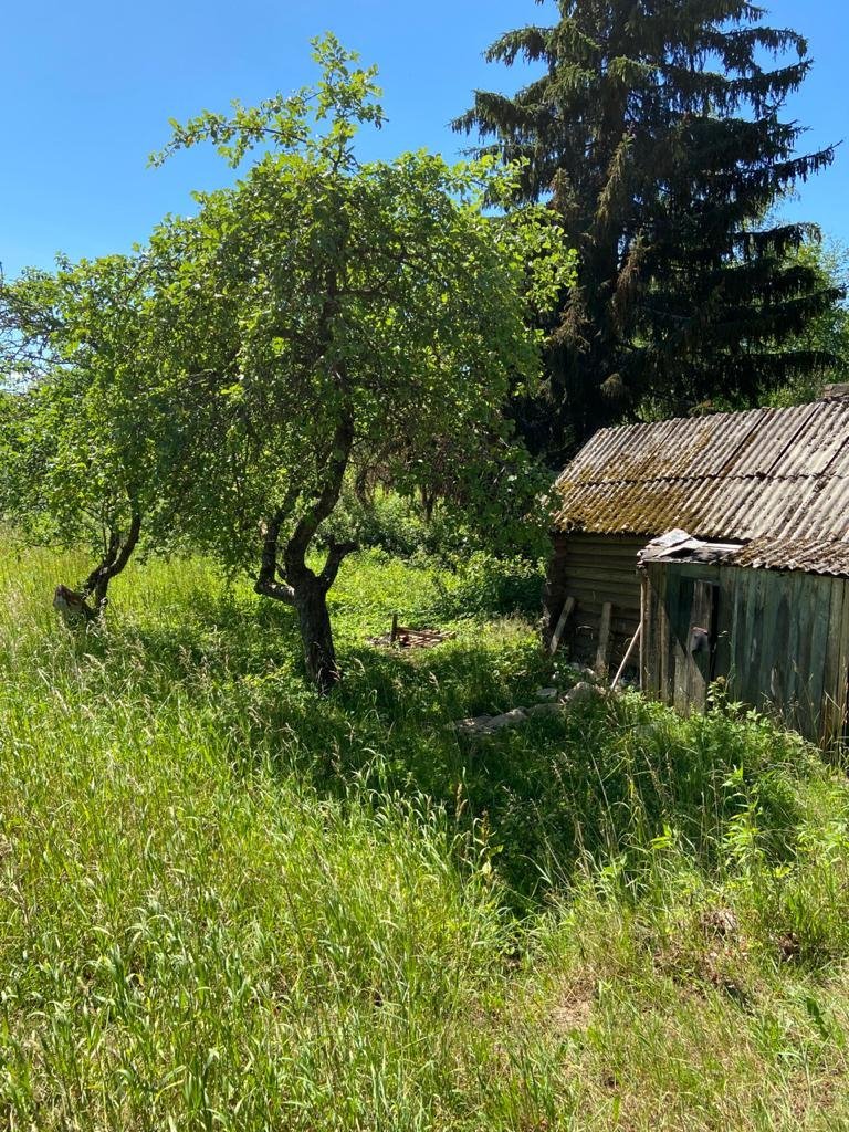 Купить Загородный дом 62 кв.м с участком 12 сот. в Лужский район  Ленинградская область (№295449)