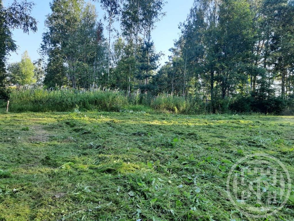 Дзержинского, 6, пом. 6 поселок дзержинского. Поселок имени дзержинского. 6 поселок дзержинского. Дзержинский лужской обл.