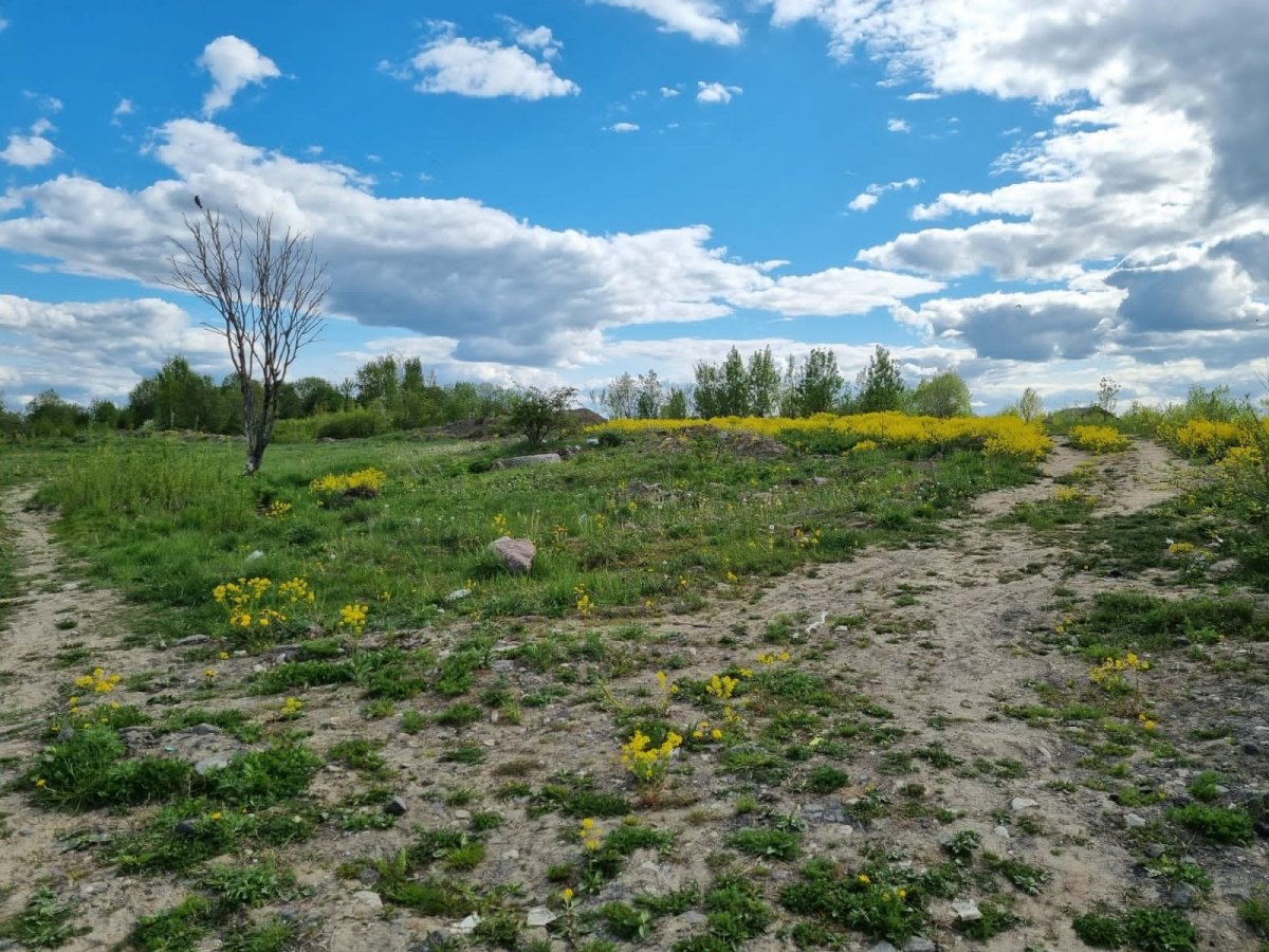 Продажа участка, Красное Село, Красногородская ул.