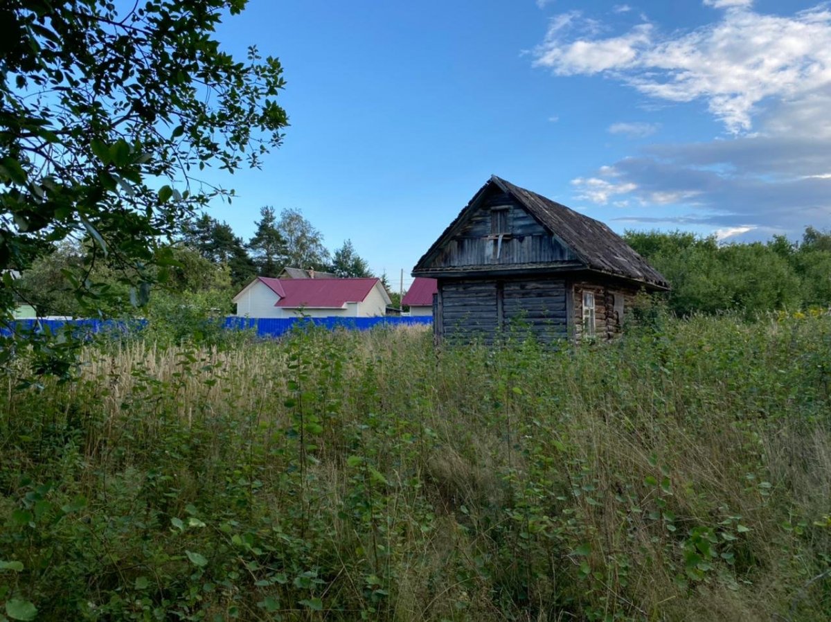 Дер дубки. Дубки Ломоносовский район. Деревня Дубки. Дачная улица Дубки. Дубочки Ломоносовский район СТН Химик 2.