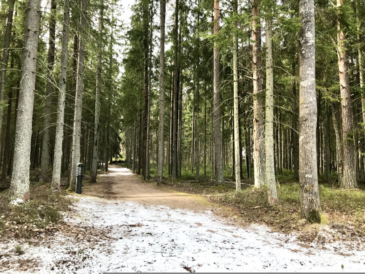 Ганино хвойная. Озеро в ганино. Ганинская ферма. Ганино ферма ресторан. Ганино хвойная.