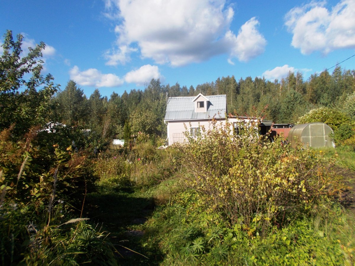 Купить Загородный дом 28 кв.м с участком 10 сот. в Всеволожский район  Ленинградская область (№282441)