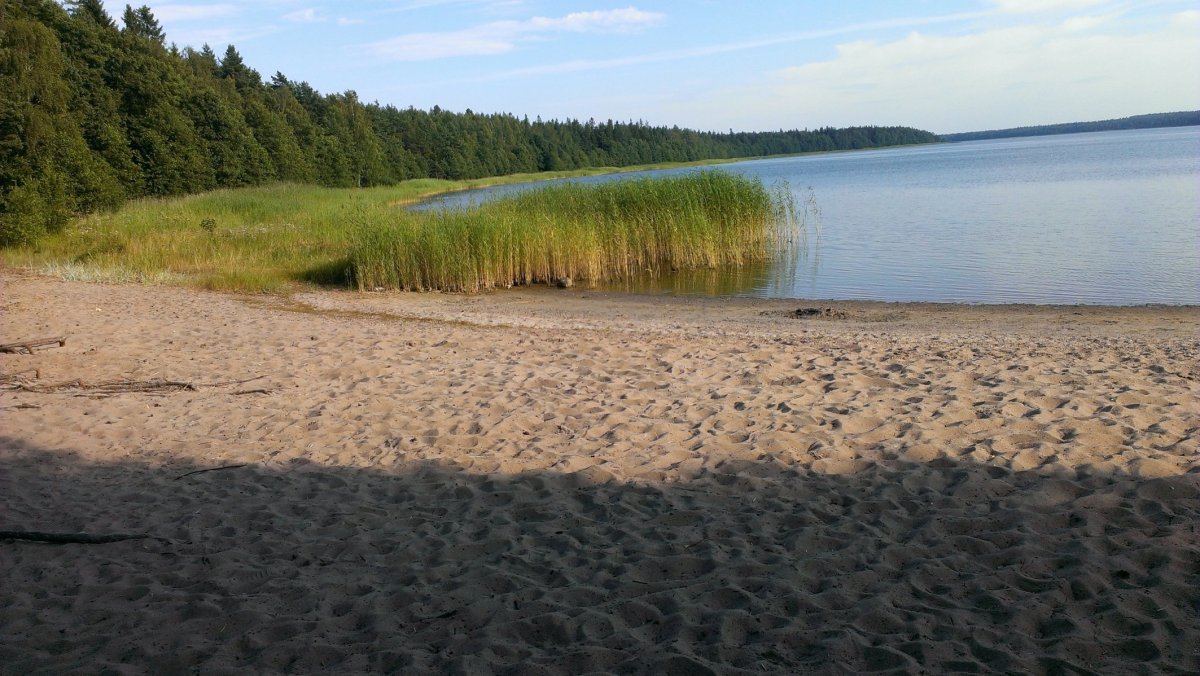 Купить Загородный дом 160 кв.м с участком 25 сот. в Кингисеппский район  Ленинградская область (№268422)