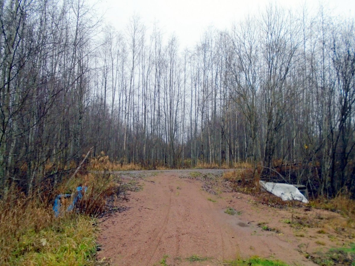 Климово ленинградская область выборгский