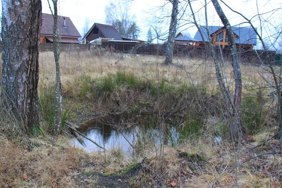 Купить Землю В Павлово