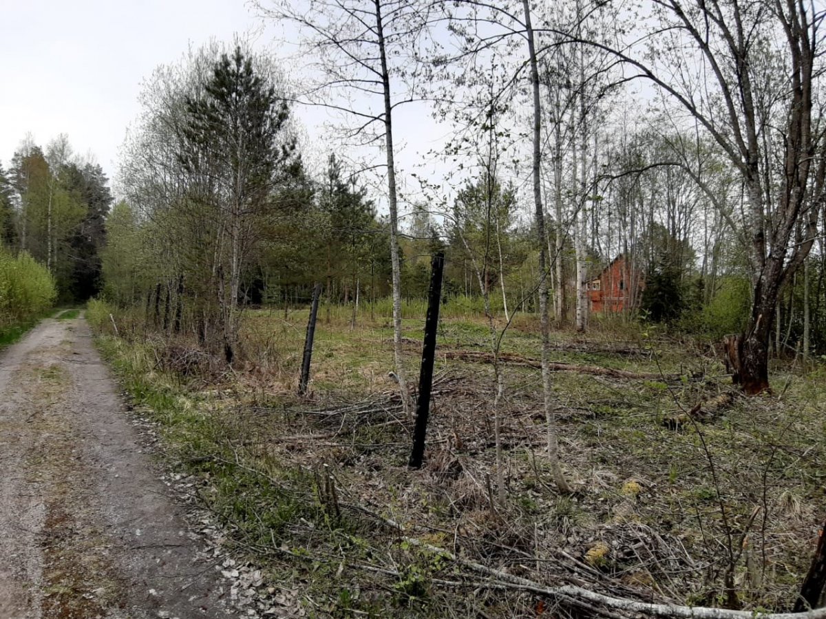 Погода березово приозерский. Кузнечное Приозерск.