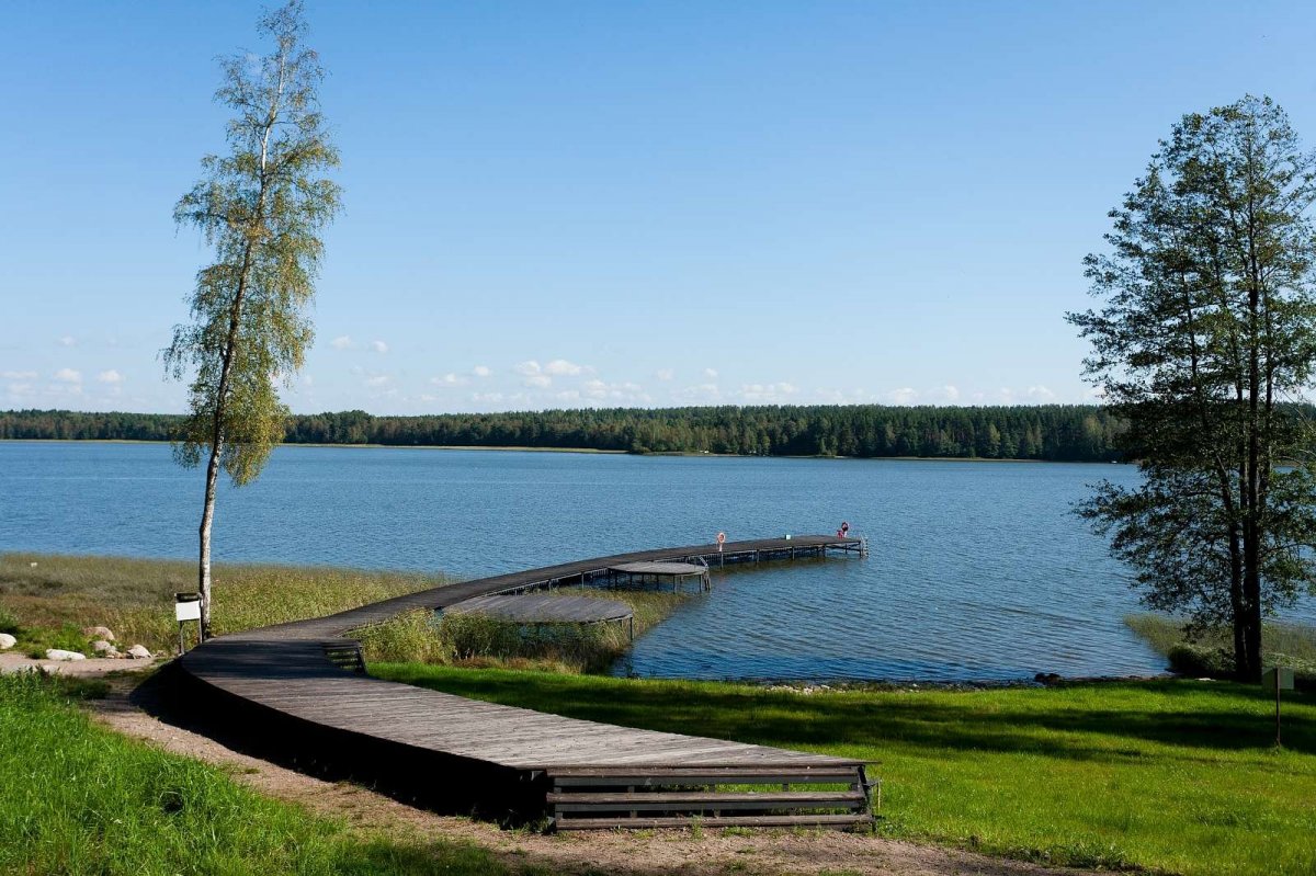 пионерское озеро ленинградская область