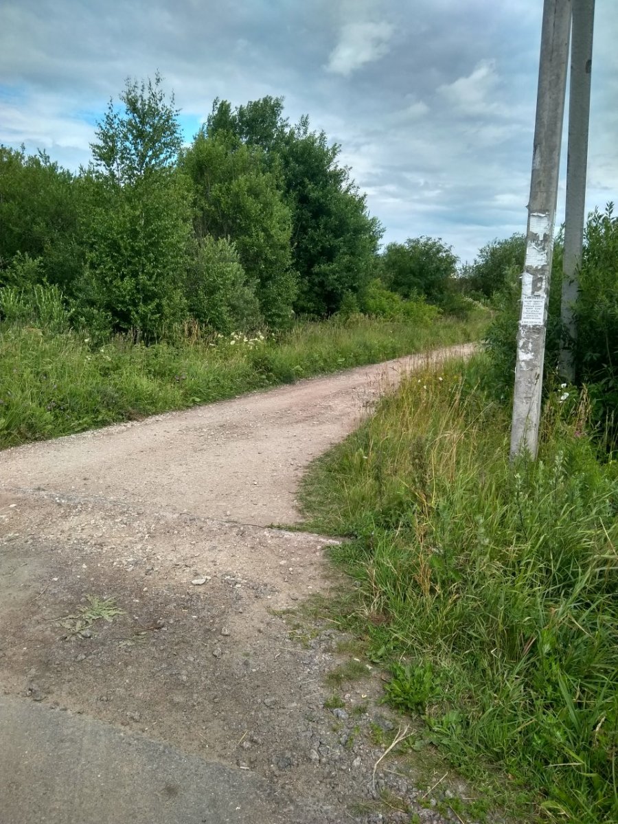 Погода мга ленинградская. Погода во Мге Ленинградской области. Погода Мга. Посёлок Мга Ленинградская область гаражи. Собаки во Мге Ленинградской области.