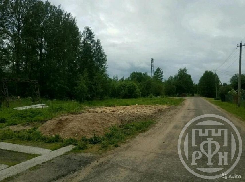 Погода завтра мшинской. Звери у деревни Пехенец.