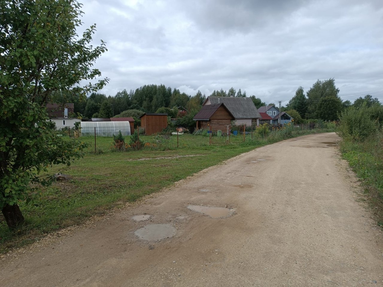 Деревня славянка. Петрушина гора Лужский район. Озеро Славянка Лужский район.