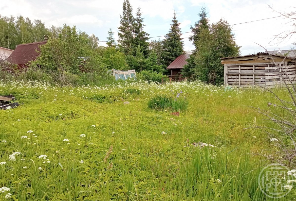 Купить Участок В Белоострове Недорого