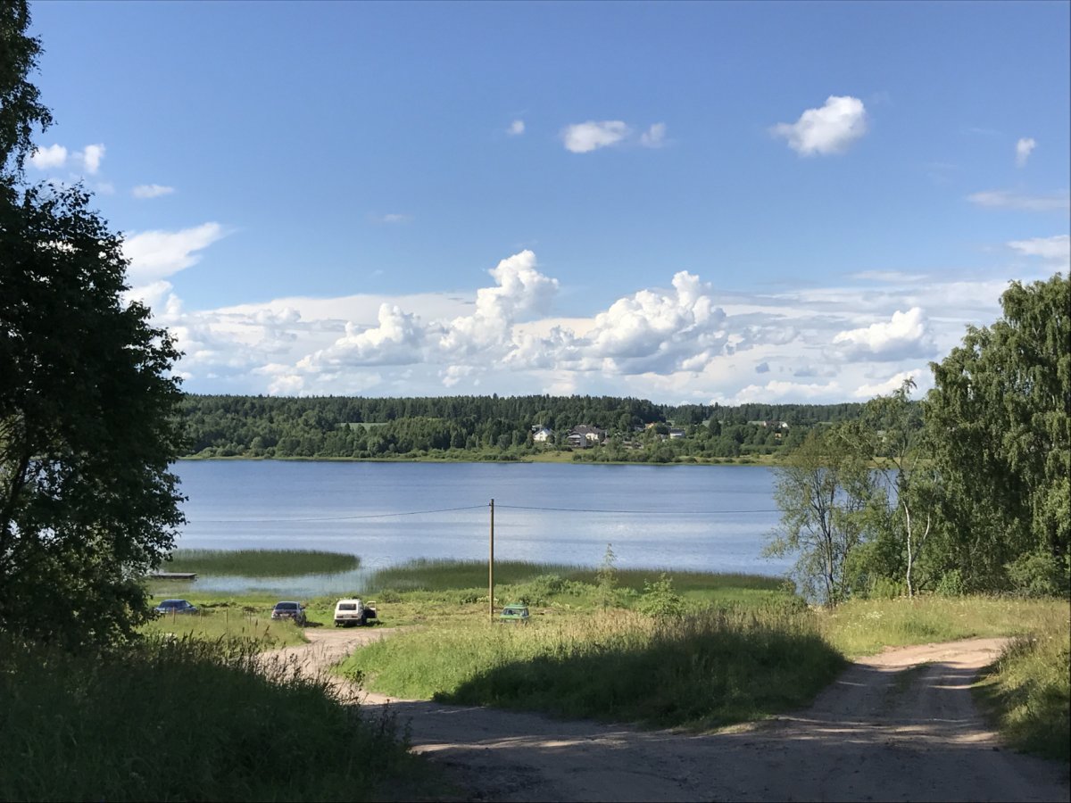 Деревня мерево лужский район фото