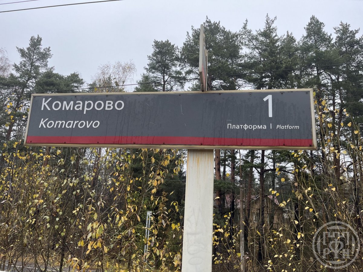 Купить Участок В Курортном Районе Спб