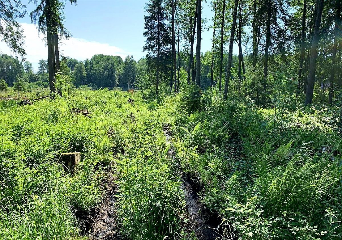 Купить Землю На Торгах В Ленинградской Области