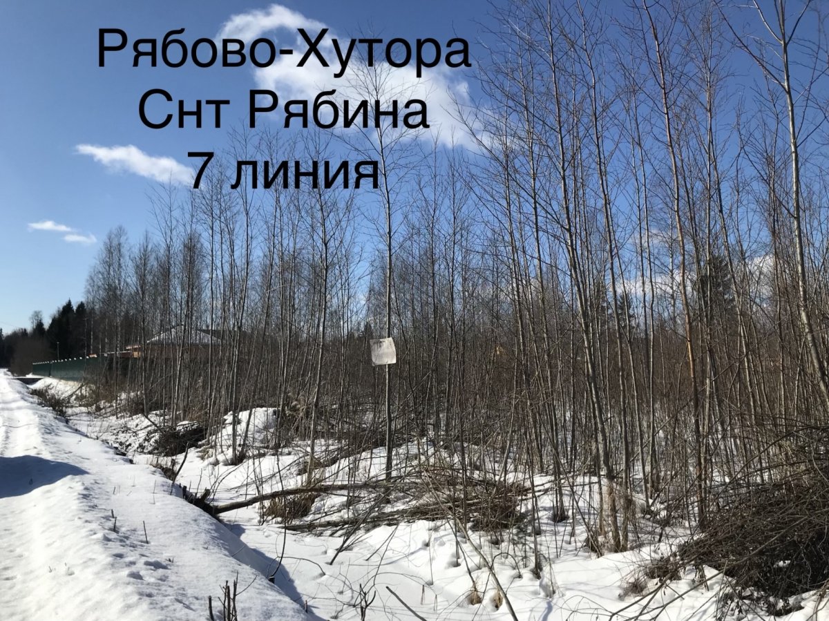 Погода в рябово тосненского на неделю. Городской посёлок Рябово. Рябово хутора СНТ.