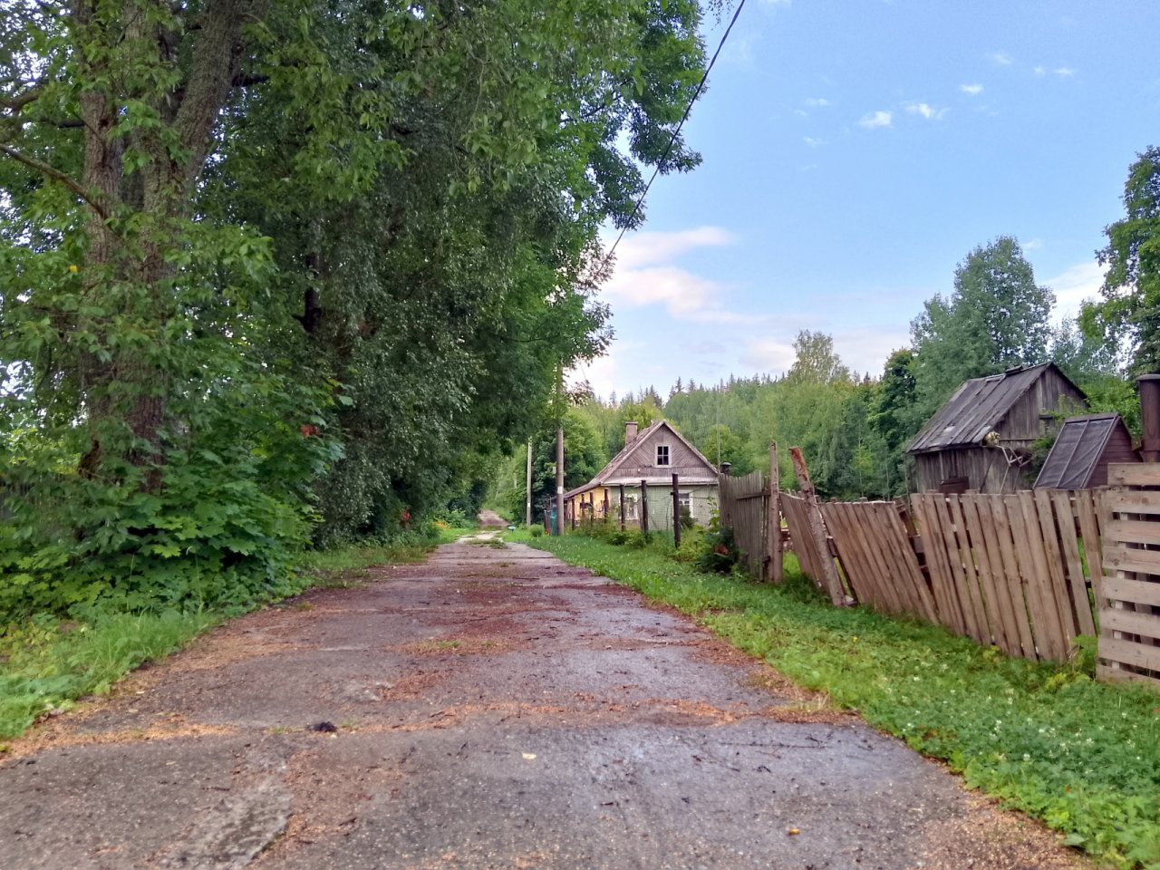 Горьковское (Ленинградская область). СНТ поле сад. СНТ Березовая Долина. Поселок Смолячково Смолячковская ул Ленинградская область.