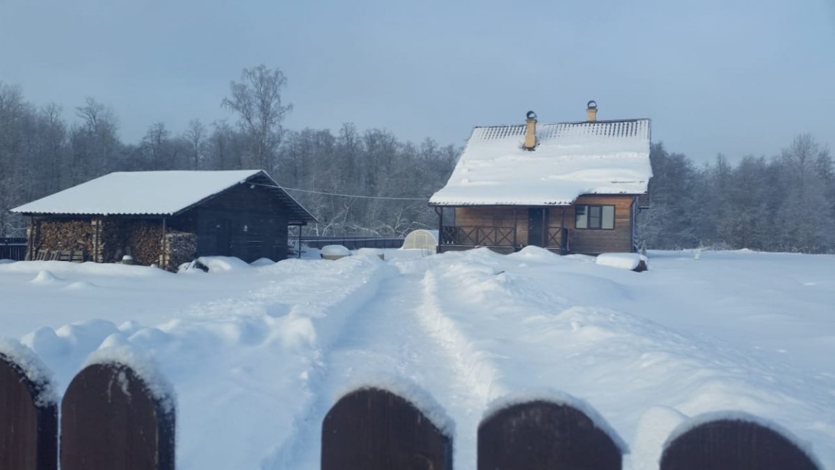 Купить Загородный дом 100 кв.м с участком 35 сот. в Плюсский район Псковская  область (№291343)