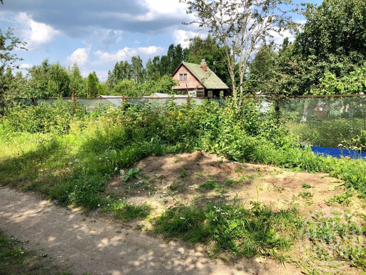 Погода в ваганово завтра. Разведение животных. Погода в ваганово завтра. Племенное хозяйство боково. Июльские звезды в ваганово.