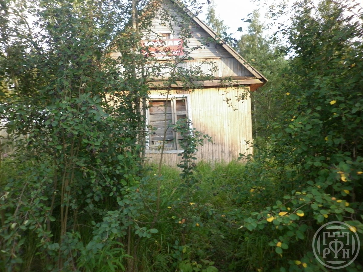 Русский фонд недвижимости участок массив борисова грива. Борисова грива ленинградская область. Деревня борисова грива всеволожский район ленинградская область. Юла участок 5 соток борисова грива. Борисова грива село.