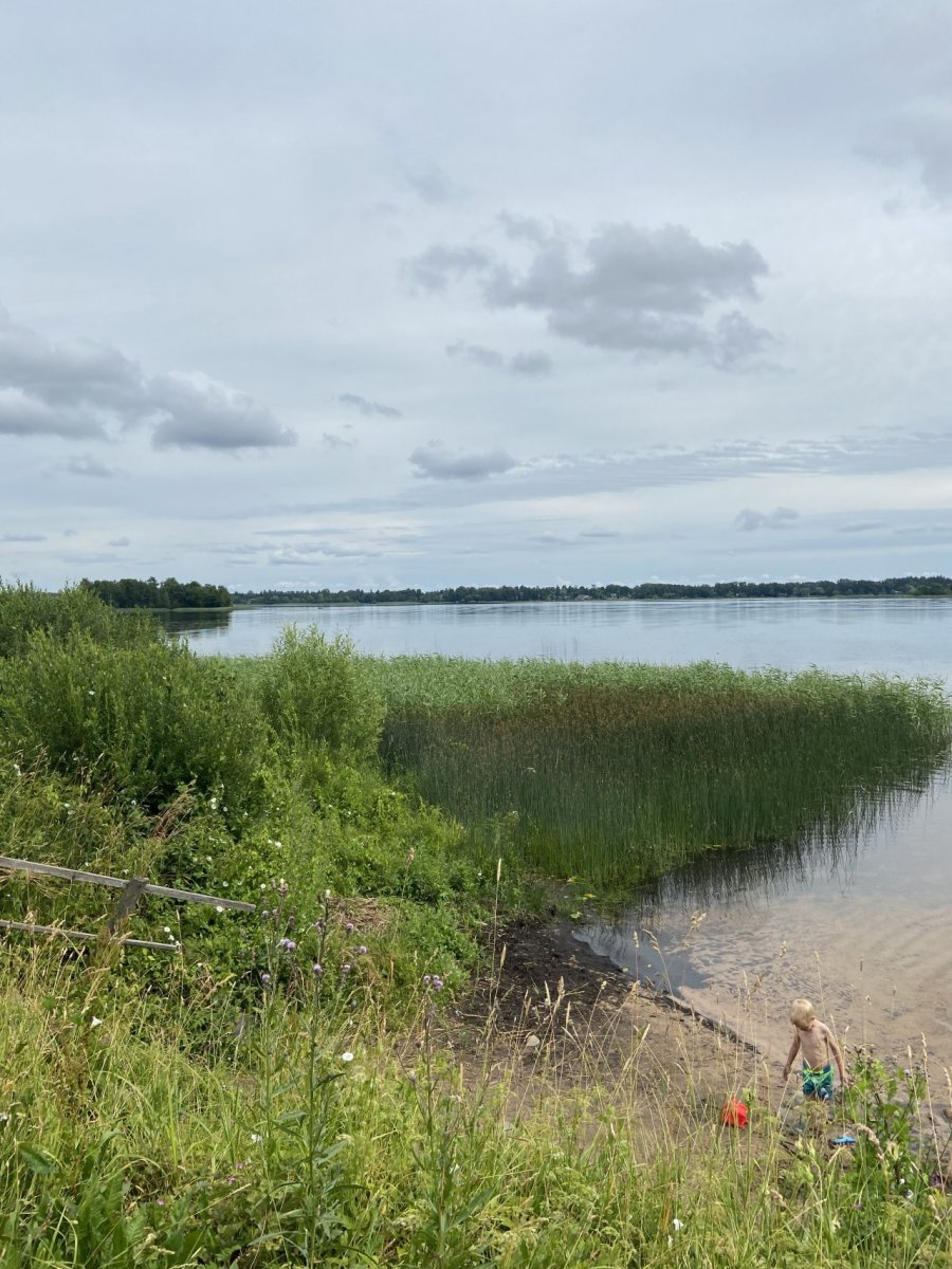 Домкино лужский район фото