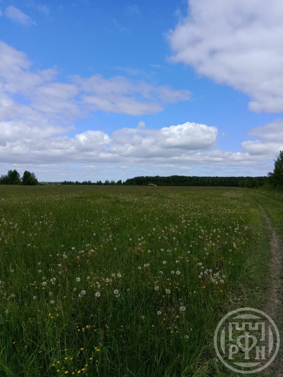 Купить Участок В Ленинградской Области Всеволожский Район