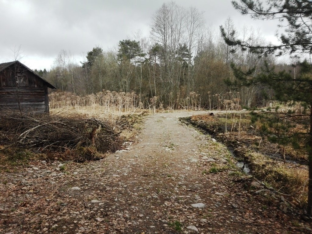 Погода в деревне синевая