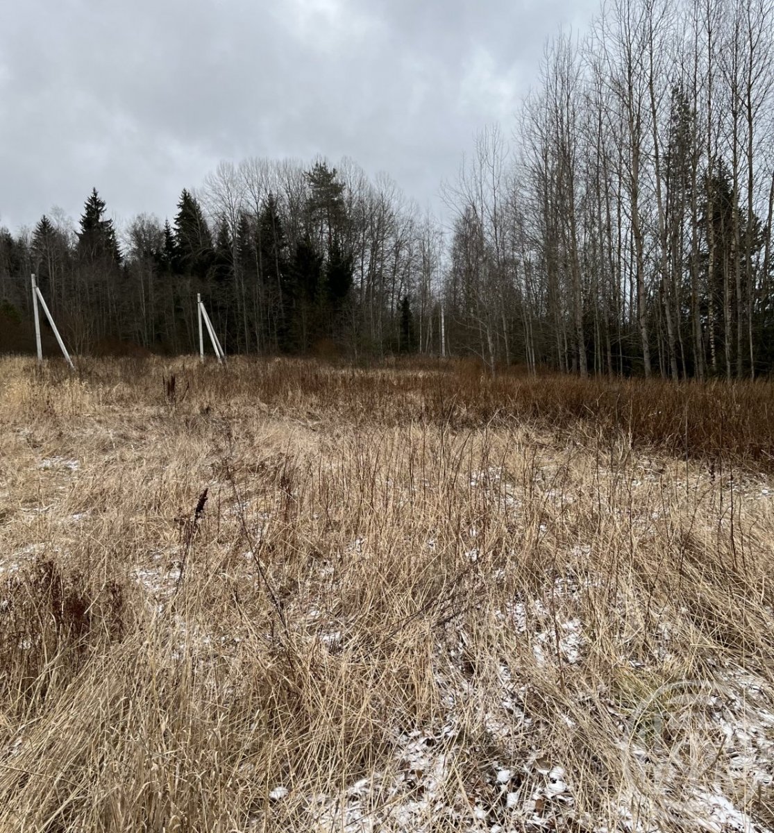 Выборгском районе п поляны. Выборгском районе п поляны. Выборгском районе п поляны. Выборгском районе п поляны. Выборгском районе п поляны.