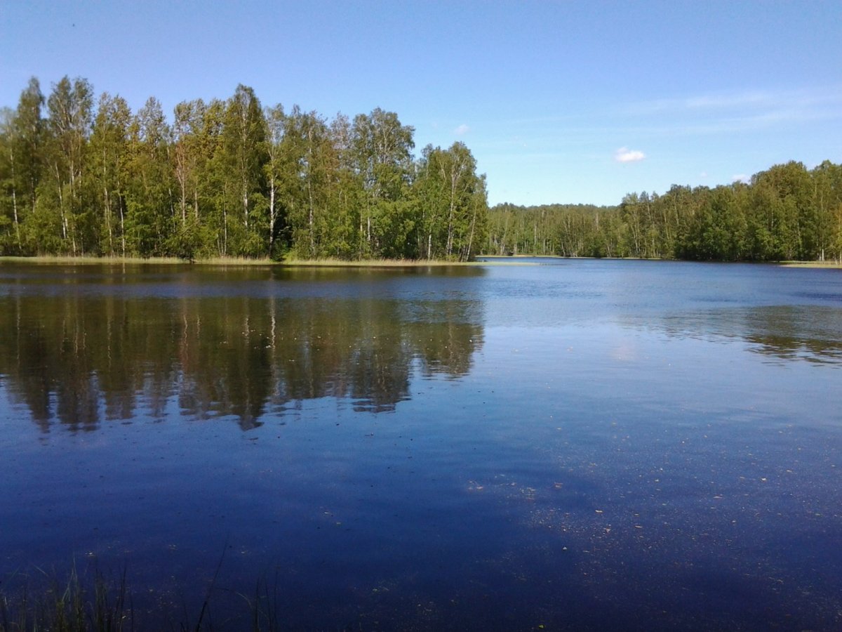 Купить Загородный дом 70 кв.м с участком 605 кв.м в Всеволожский район  Ленинградская область (№256138)