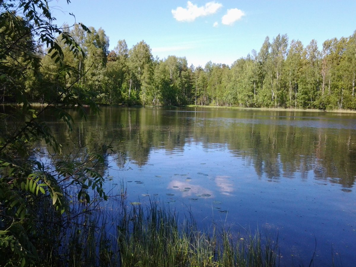 Купить Участок Снт Лазурное