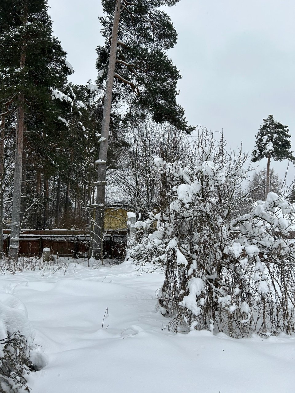 Купить Участок В Вырице