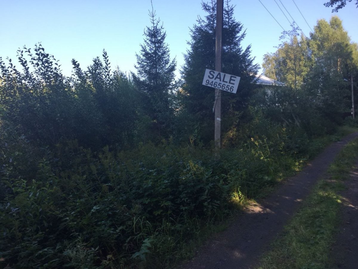 Погода в гаврилово ленобласть выборгский. Купить участок Симагино 2. Погода ЛЕНОБЛАСТЬ Выборгский Симагино сегодня-завтра.