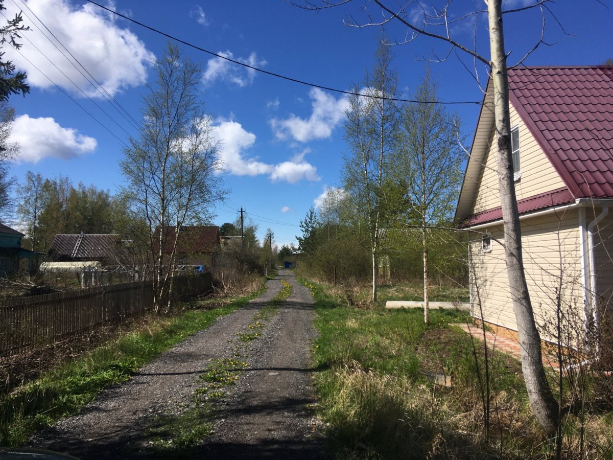 Снт красногорские покосы ломоносовский. СНТ Красногорское Ломоносовский район. СНТ Красногорские покосы Ломоносовский район. СНТ Красногорское председатель. СНТ Красногорские покосы на карте.