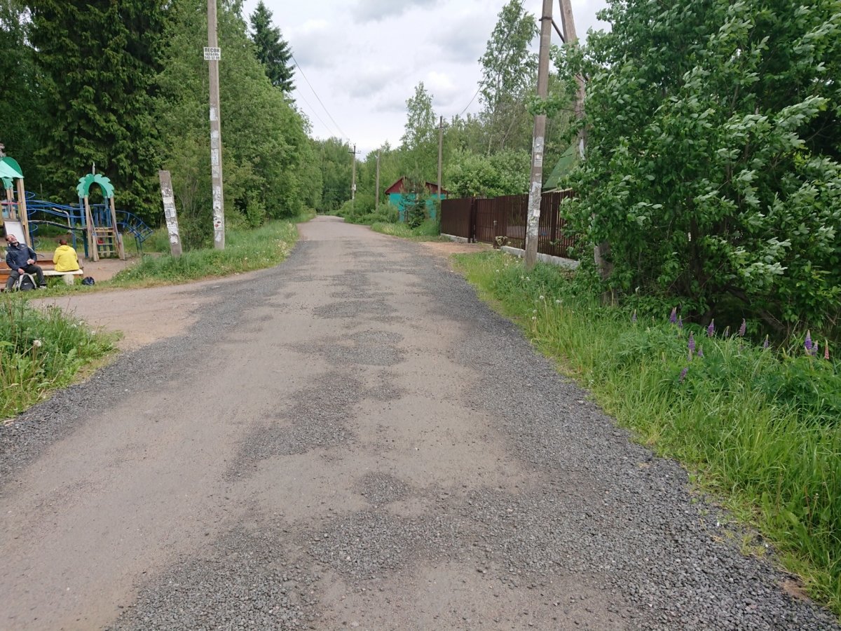 Погода в борисовой гриве ленинградской