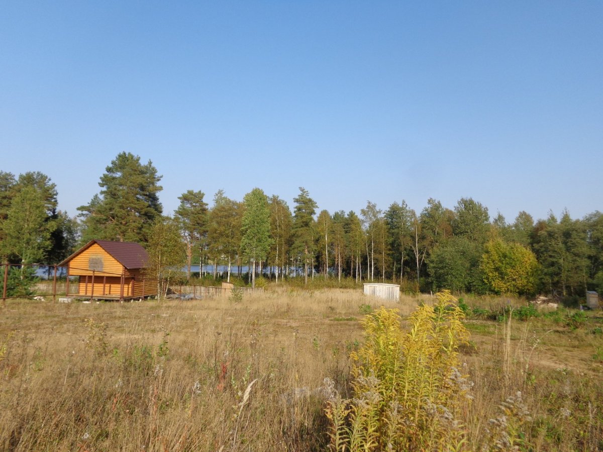 озеро заклинское лужский район