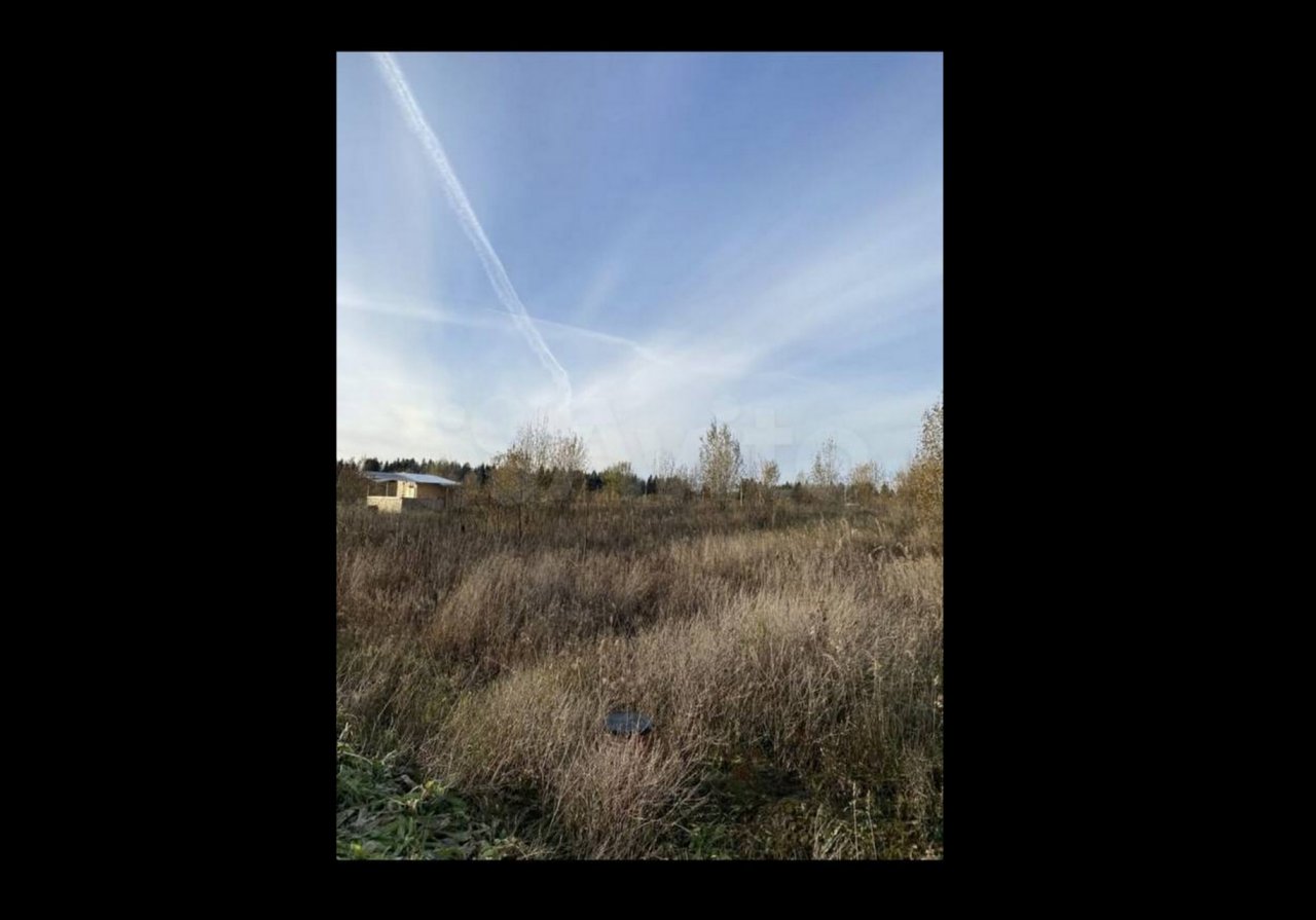 яблоневый сад мичурина. сады по госпрограмме. ландшафтный дизайн ярославль. садики в грозном. екатерина лазуткина ландшафтный дизайнер.