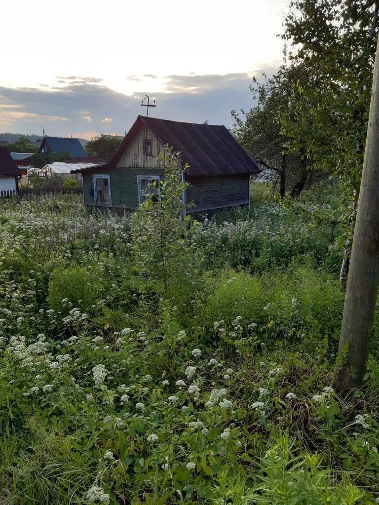 Купить Участок В Выборге Недорого