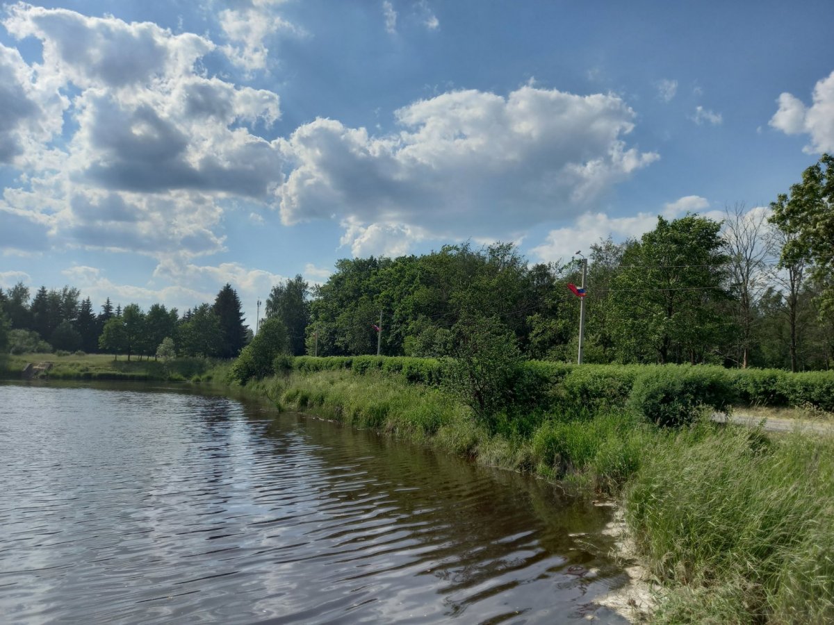 Разбегаево ленинградская область