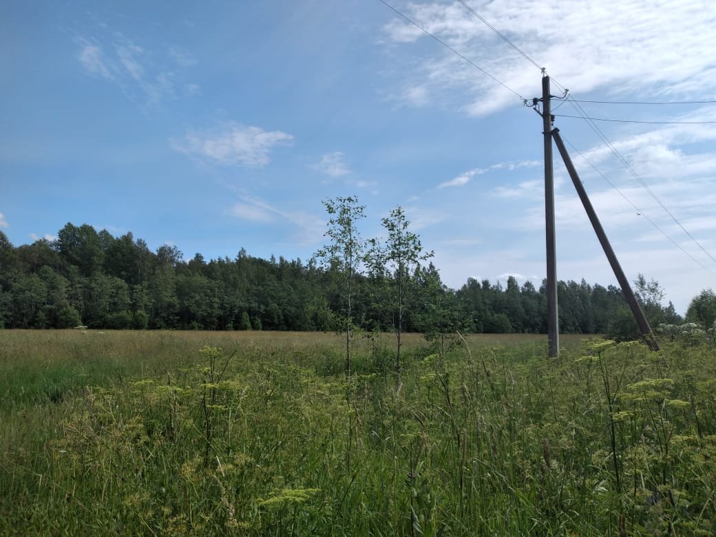 Купить Участок С Домом В Приозерске