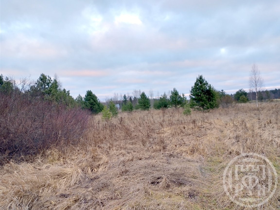 Купить Участок В Зверево Новая Москва