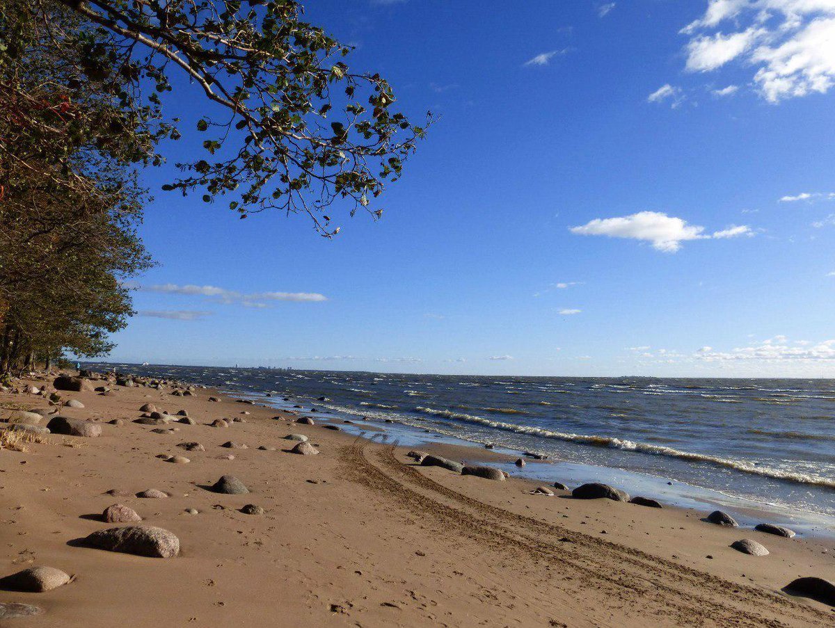 Зеленогорск Балтийское море