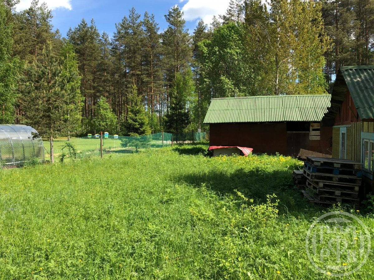 Купить Дачу Свежие Объявления В Рахье