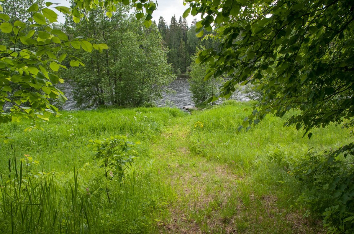 Озеро заклинское лужский район фото